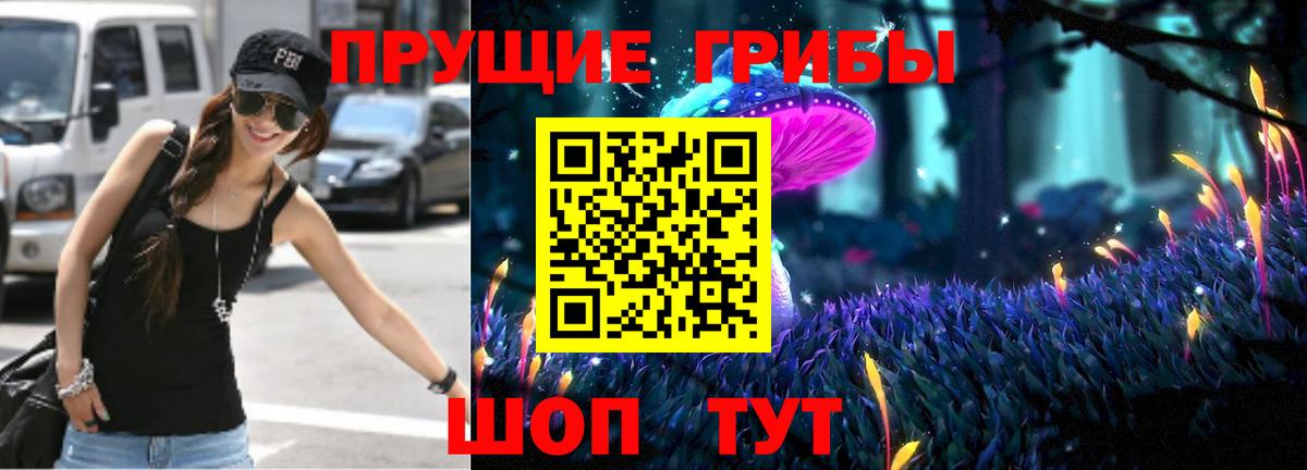 Королёв  Псилоцибиновые грибы Magic Shrooms  Вход с VPN 