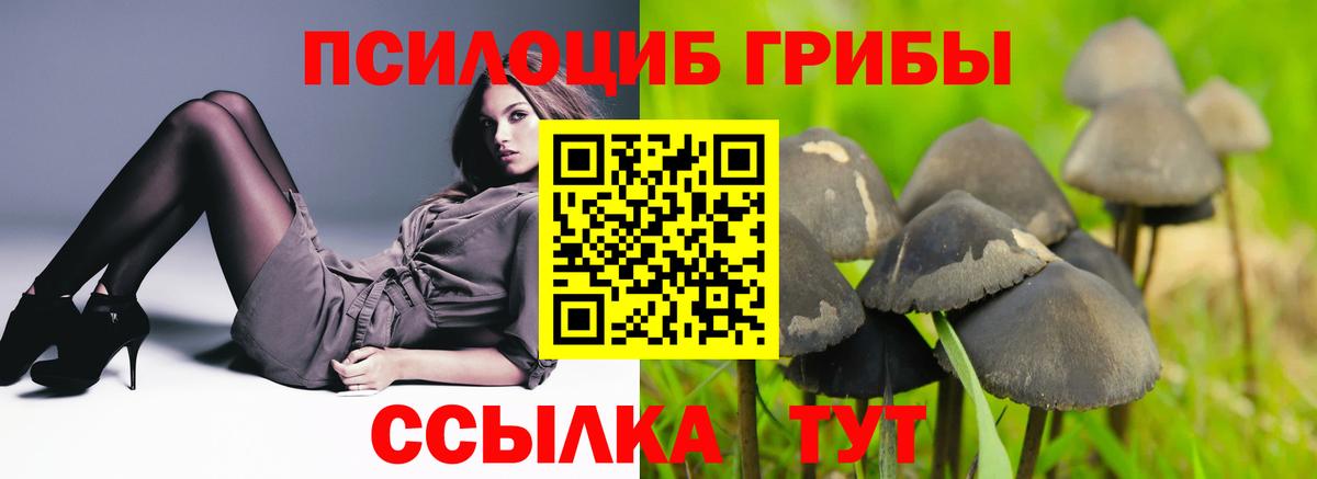 Галлюциногенные грибы MAGIC MUSHROOMS Королёв